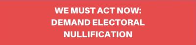 #ElectoralNullification